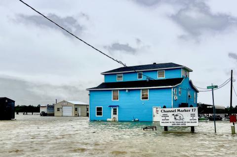 Article Image Alt Text