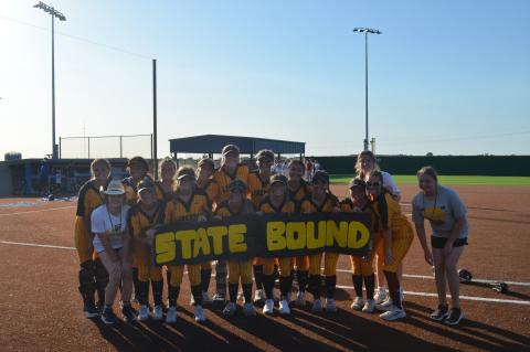 Article Image Alt Text