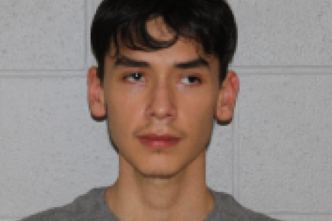 Article Image Alt Text