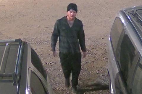 Article Image Alt Text