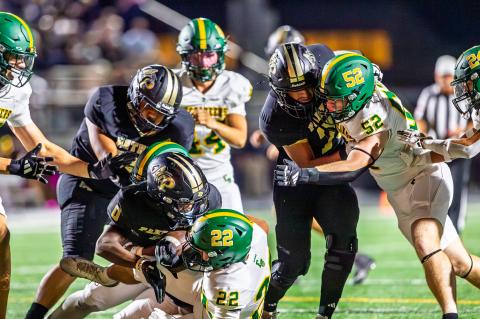 Article Image Alt Text