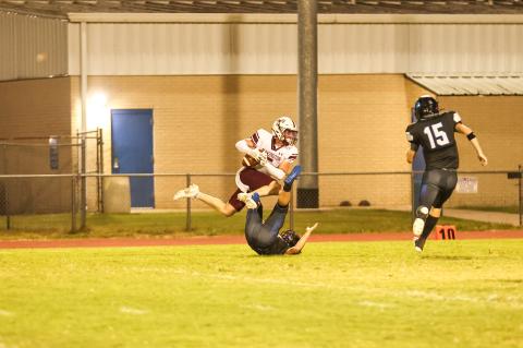 Article Image Alt Text