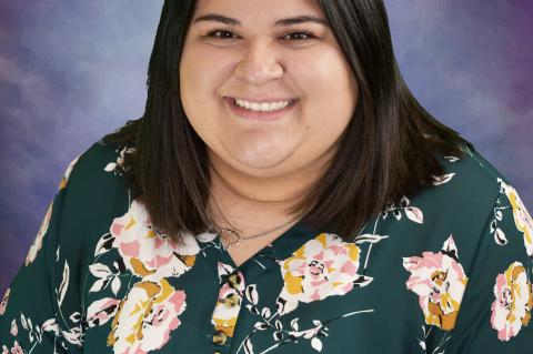 Article Image Alt Text