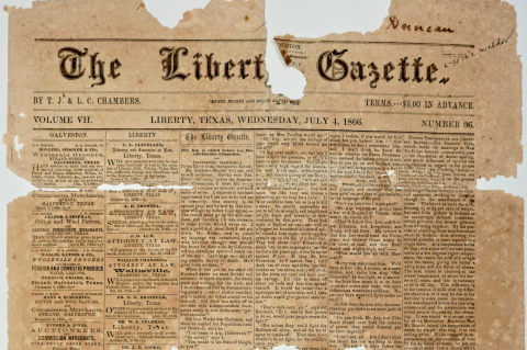 Article Image Alt Text