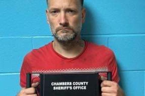 Article Image Alt Text