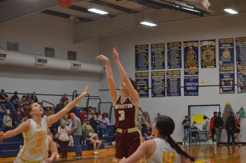 Article Image Alt Text