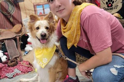 Article Image Alt Text