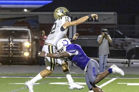 Article Image Alt Text