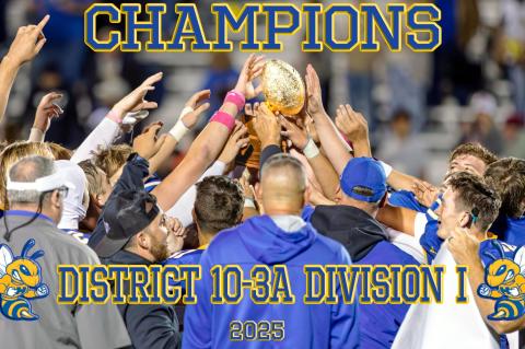 Article Image Alt Text