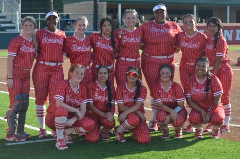 Article Image Alt Text