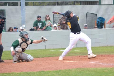 Article Image Alt Text