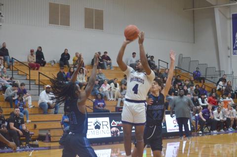 Article Image Alt Text