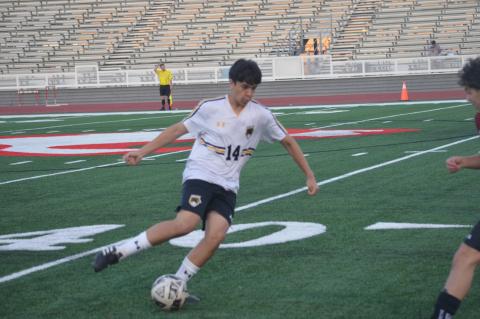 Article Image Alt Text