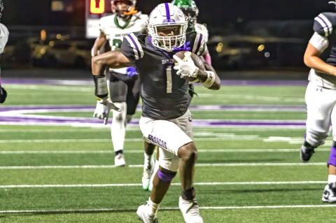 Article Image Alt Text