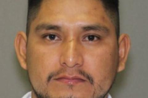 Article Image Alt Text