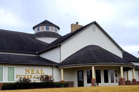 Article Image Alt Text