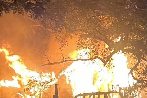 Article Image Alt Text