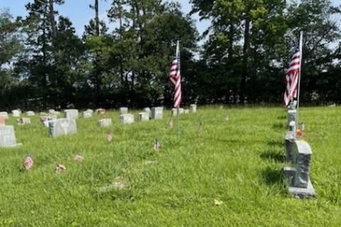 Article Image Alt Text