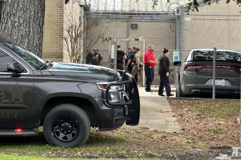 Article Image Alt Text