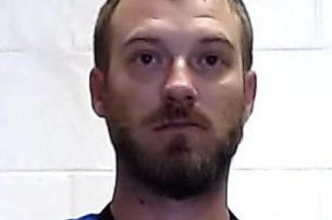 Article Image Alt Text