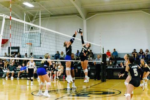 Article Image Alt Text