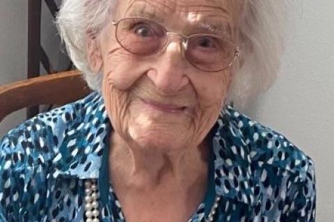 Article Image Alt Text