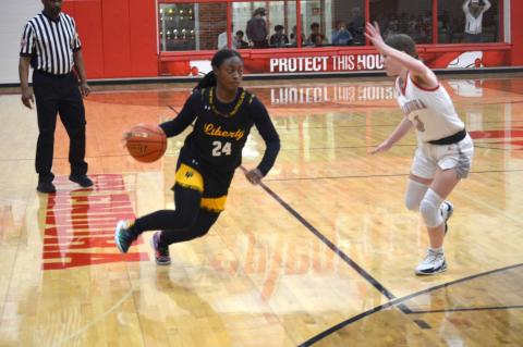 Article Image Alt Text