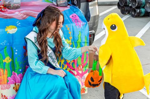 Article Image Alt Text