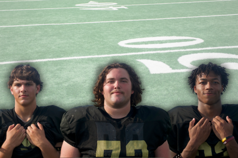 Article Image Alt Text