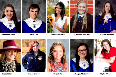 Article Image Alt Text