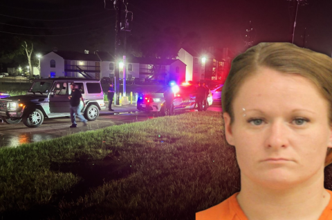 Article Image Alt Text