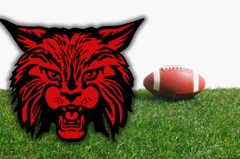 Article Image Alt Text