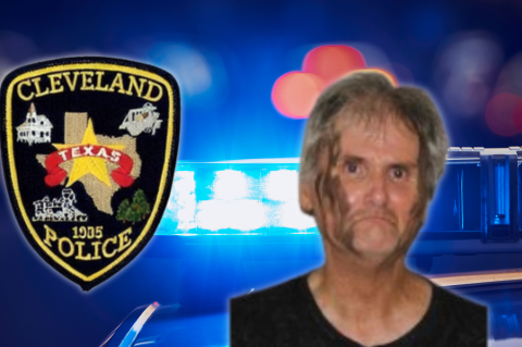 Article Image Alt Text