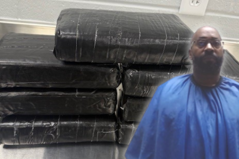 Article Image Alt Text