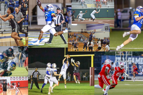 Article Image Alt Text