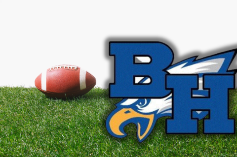 Article Image Alt Text