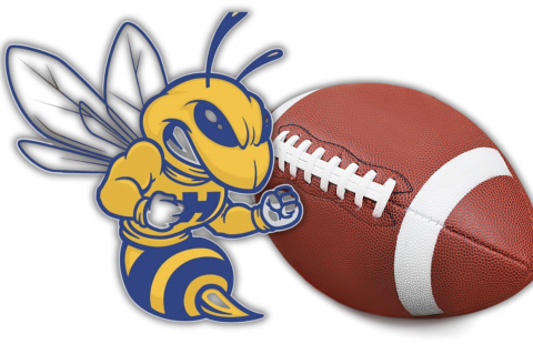 Article Image Alt Text