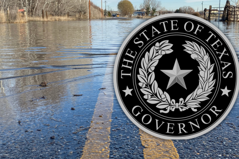 Article Image Alt Text