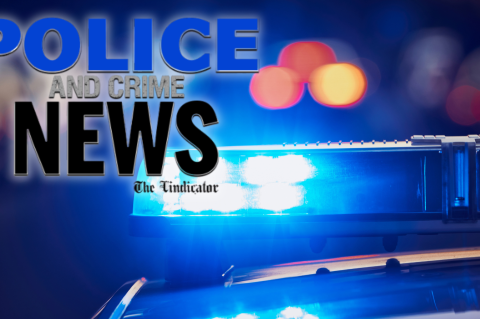 Article Image Alt Text