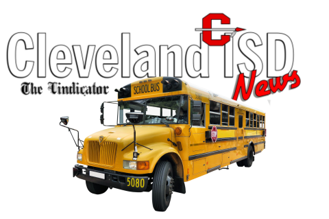 Article Image Alt Text