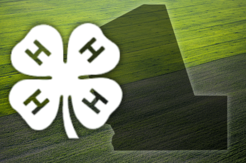 Article Image Alt Text