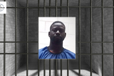 Article Image Alt Text