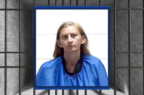 Article Image Alt Text