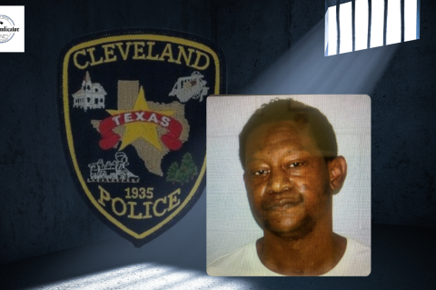 Article Image Alt Text