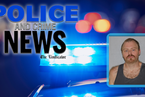 Article Image Alt Text