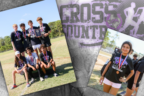 Article Image Alt Text