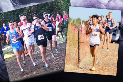 Article Image Alt Text