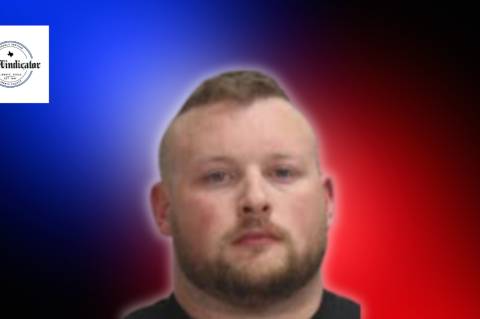 Article Image Alt Text