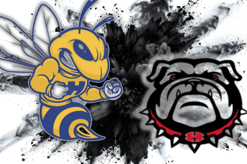 Article Image Alt Text