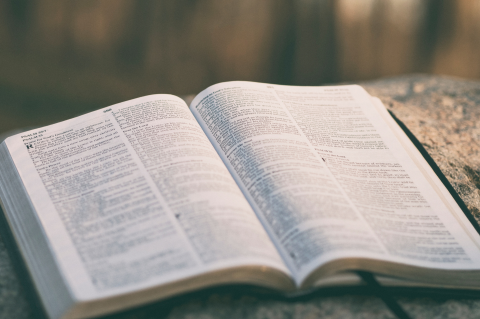 Article Image Alt Text